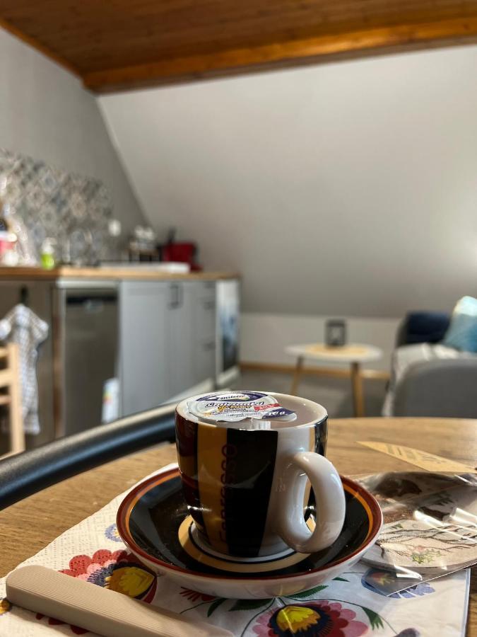 Przy Stoku I Potoku Apartment Висла Екстериор снимка