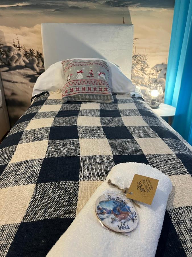 Przy Stoku I Potoku Apartment Висла Екстериор снимка